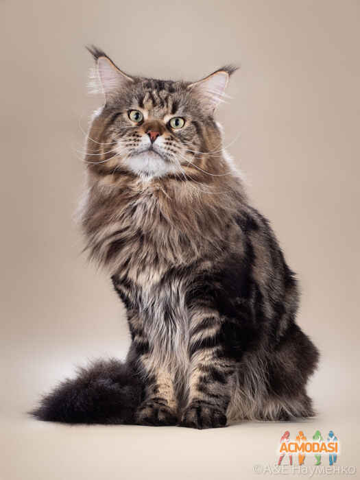 Павел  Малков фото №1526711. Загружено 16 Октября 2019