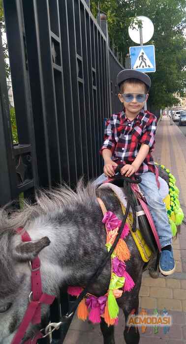 Валентина  Емельянова фото №1664676. Загружено 10 Декабря 2020