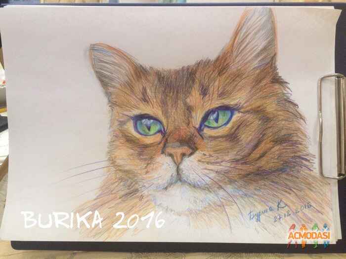 Екатерина Юрьевна Бурика фото №1326544. Загружено 28 Мая 2018