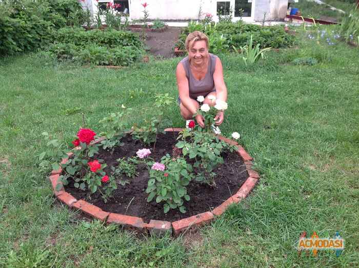 Светлана  Cеливанова фото №981790. Загружено 20 Января 2016