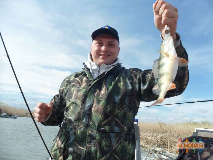 Павел Сергеевич Стенин фото №956447. Загружено 18 Ноября 2015