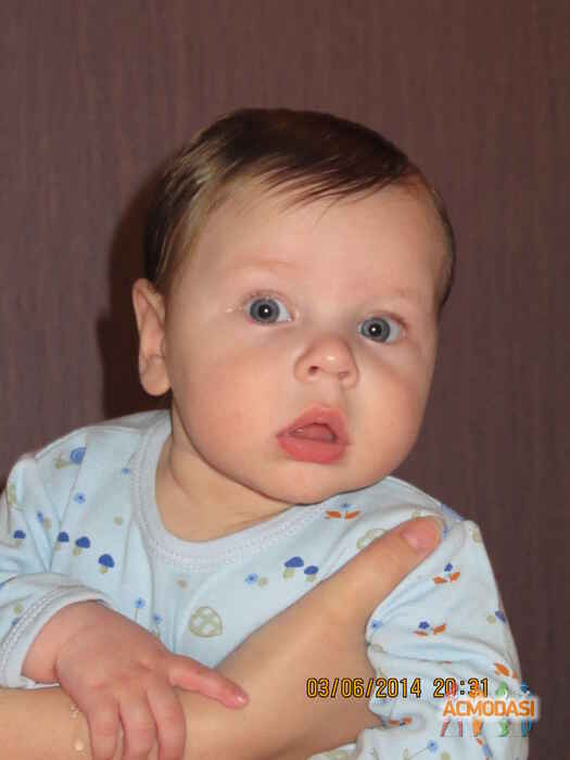 Всеволод   фото №668053. Загружено 11 Июня 2014