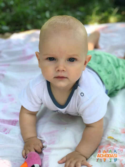 Марк Александрович Гулькин фото №1358217. Загружено 13 Августа 2018