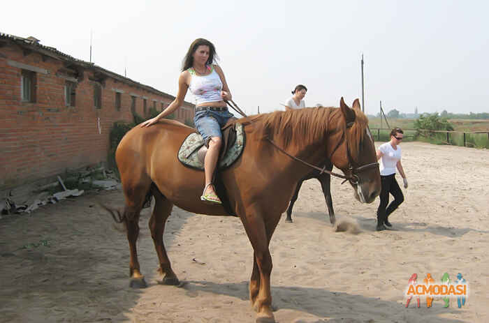 Элена   фото №110501. Загружено 25 Ноября 2011