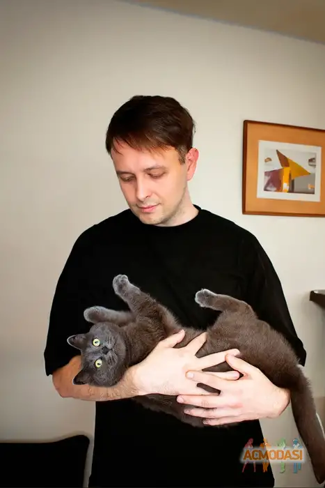 Дмитрий  Шестаков фото №1945832. Загружено 22 Января 2026