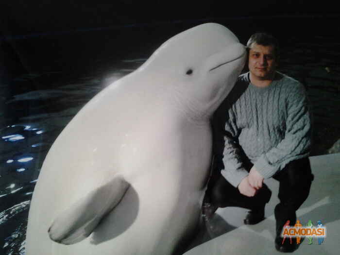 Колосков Вячеслав Витальевич фото №181305. Загружено 09 Апреля 2012