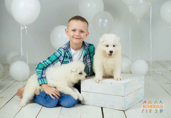 Даниил  Крепких фото №1677365. Загружено 25 Января 2021