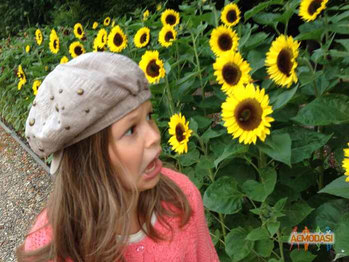 Лиля   фото №901247. Загружено 07 Августа 2015