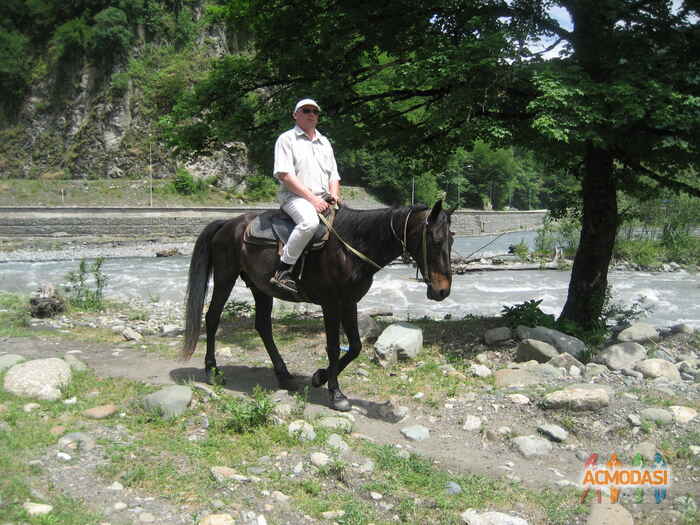 Сергей   фото №951715. Загружено 08 Ноября 2015