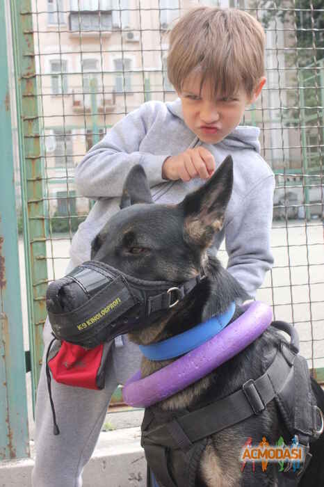 Георгий   фото №551558. Загружено 13 Декабря 2013