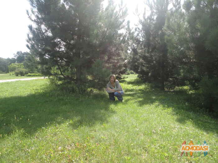 Елена Александровна Гришанова фото №337172. Загружено 30 Января 2013