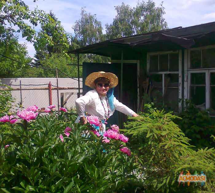 Galina Shitova Shmel фото №460514. Загружено 31 Июля 2013