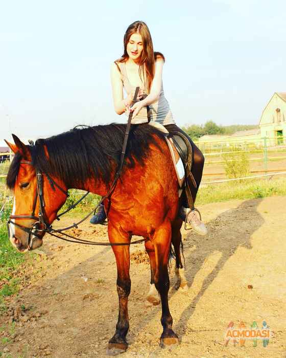 Надежда  Суслова фото №1682414. Загружено 13 Февраля 2021