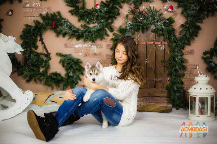 Дарья  Дмитриевна фото №882453. Загружено 05 Июля 2015