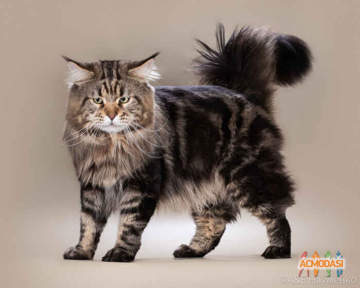 Павел  Малков фото №1526713. Загружено 16 Октября 2019