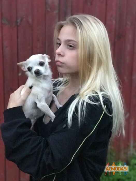 Настя Константиновна Ильина фото №1456902. Загружено 13 Мая 2019