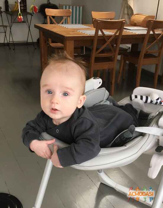 Томмазо  Деллавеккья фото №1202883. Загружено 16 Июля 2017