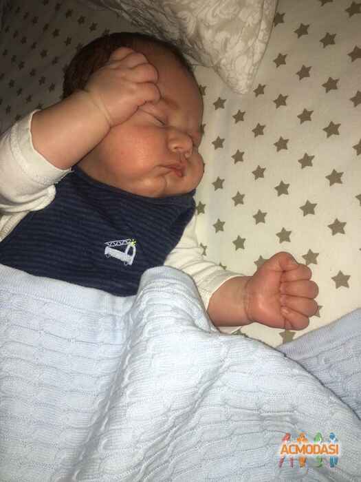 Anna Гочаевна Голодзе фото №1446691. Загружено 13 Апреля 2019