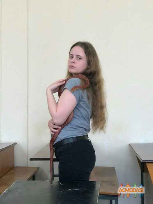 Alina Aleksandrovna Klimenko фото №1378802. Загружено 03 Октября 2018