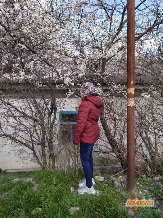 Лина Ильнична ЛЮБИНА фото №1462943. Загружено 21 Мая 2019