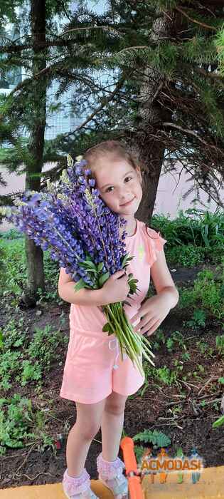 Полина  Журавлева фото №1628658. Загружено 12 Августа 2020