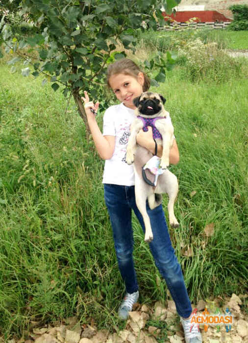 Алина   фото №1542567. Загружено 22 Ноября 2019