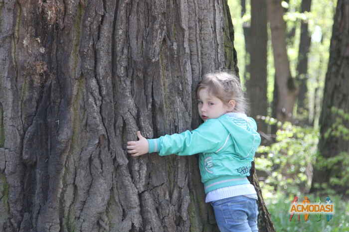 Елизавета Андреевна Феоктистова фото №939318. Загружено 15 Октября 2015
