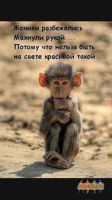 Гришка Гришкович Григорян фото №1597044. Загружено 05 Мая 2020