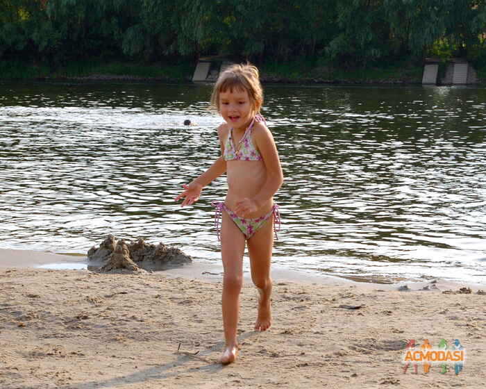 Эрика   фото №548364. Загружено 07 Декабря 2013