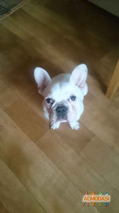 Татьяна @ Эля фото №1517546. Загружено 28 Сентября 2019