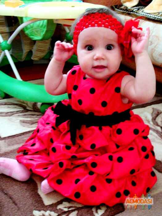 Алена Васильевна Тарасенко фото №291270. Загружено 16 Ноября 2012