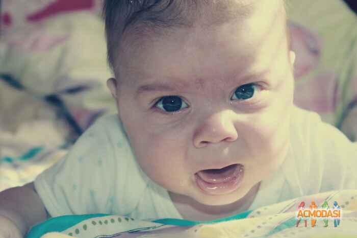 Давид  Липовецкий фото №700839. Загружено 31 Июля 2014