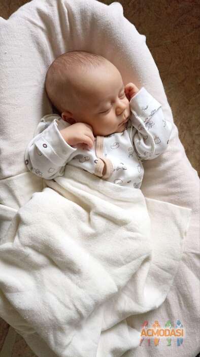 Алан  Алиев фото №1846026. Загружено 05 Марта 2023