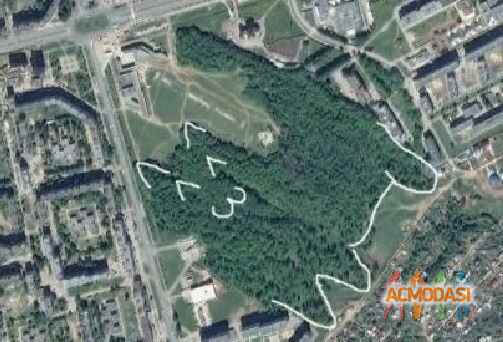 Василий  Васильевич фото №829290. Загружено 02 Марта 2015