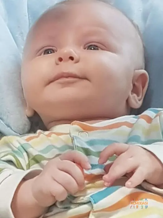 Константин Дмитриевич Краев фото №1850546. Загружено 10 Апреля 2023