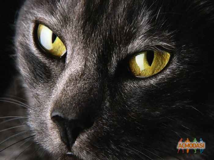 Светлана Евгеньевна Батаева фото №207593. Загружено 03 Июня 2012