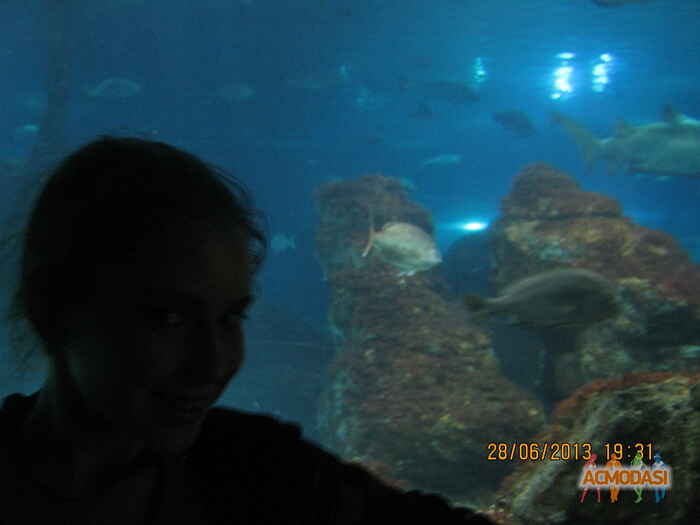 Елизавета Максимовна Фисенко фото №642502. Загружено 25 Апреля 2014