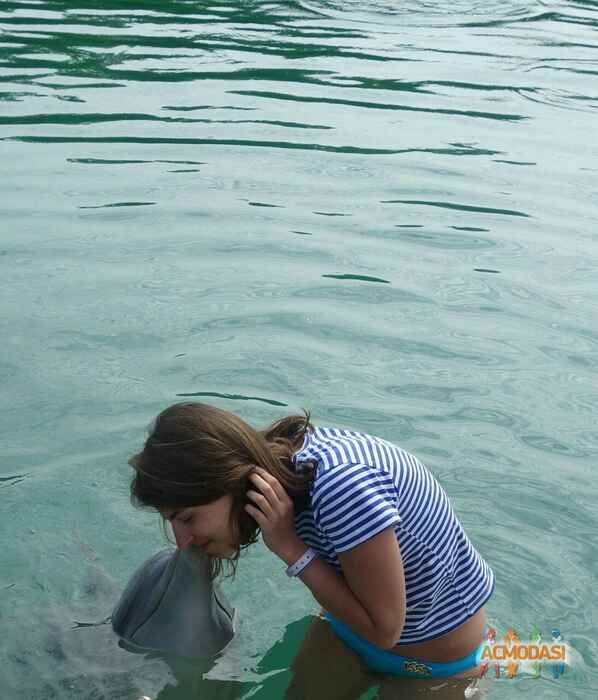 Татьяна Владимировна Полева фото №1080985. Загружено 05 Сентября 2016