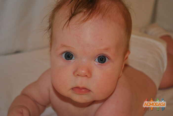 Анна  Михайловна фото №454433. Загружено 23 Июля 2013