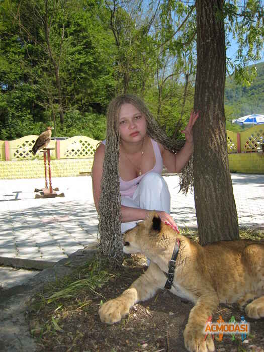 Ольга Николаевна Куливуш фото №278144. Загружено 26 Октября 2012