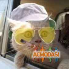 Иван  Тихий фото №991370. Загружено 04 Февраля 2016