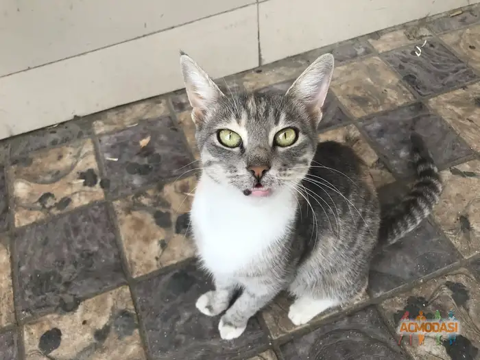 Кристальевна   фото №1938580. Загружено 13 Октября 2025