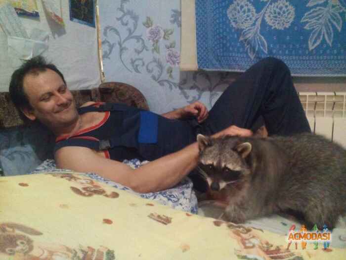 Роман Анатольевич Остапенко фото №1558027. Загружено 11 Января 2020