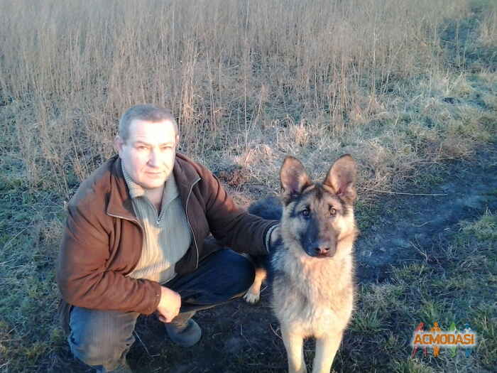 Виктор Петрович Безкопильний фото №635552. Загружено 13 Апреля 2014