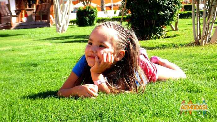 Арина   фото №878017. Загружено 24 Июня 2015