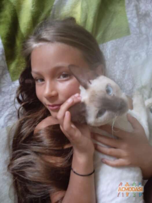 Анастасия  Кислова фото №1848729. Загружено 24 Марта 2023