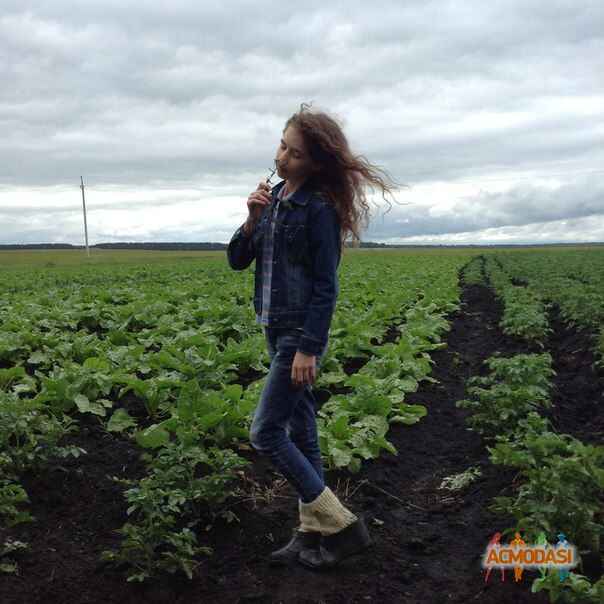 Елена Николаевна Шаталкина фото №714353. Загружено 21 Августа 2014