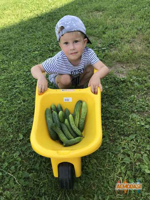 Лев Максимович  фото №1356944. Загружено 10 Августа 2018