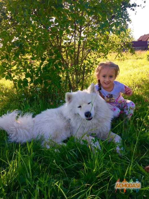 Серафима   фото №1088388. Загружено 23 Сентября 2016