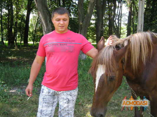 Владимир Петрович Клименко фото №347926. Загружено 16 Февраля 2013